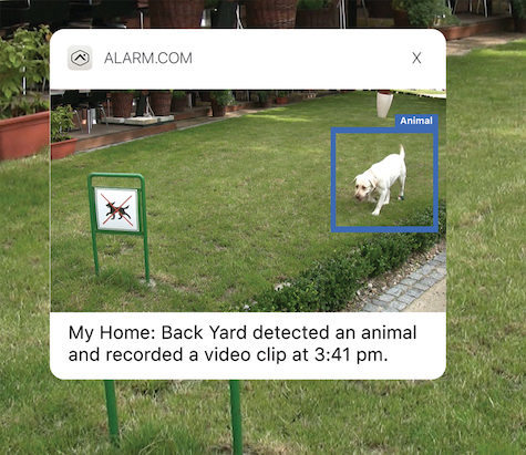 Identify pets and unexpected guests with video analytics technology